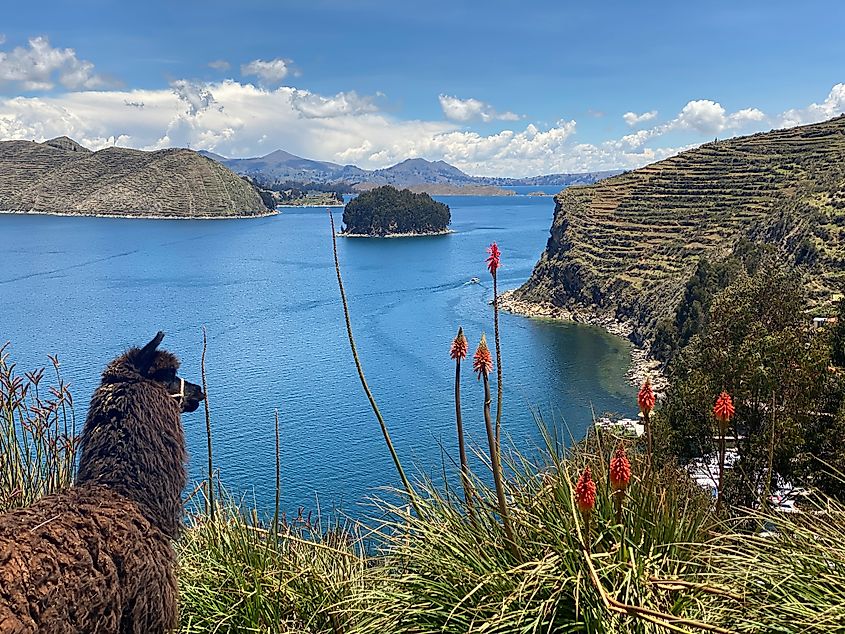 A view of Lake Titicaca and Chelleca island in the background.