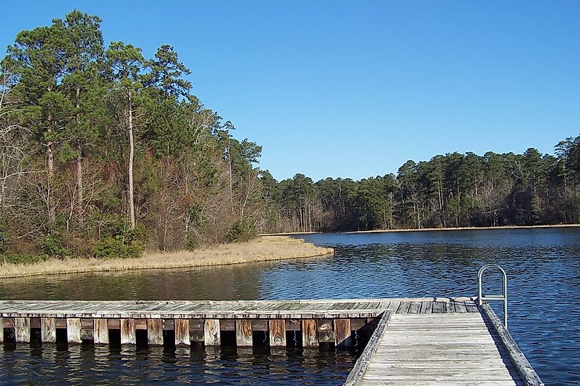 Dock on Caney Lake Reservoir in Jimmie Davis State Park.