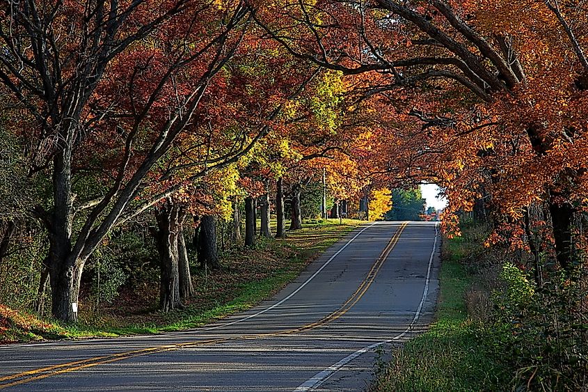 Country road lined with vibrant fall foliage on Milford Road in Highland, Michigan