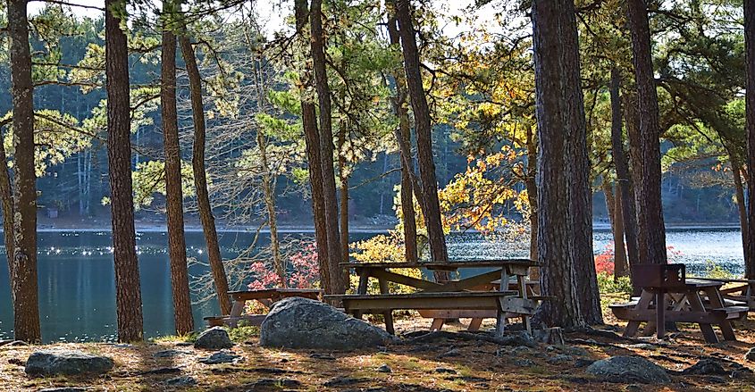 Myles Standish State Forest in Plymouth, Massachusetts.