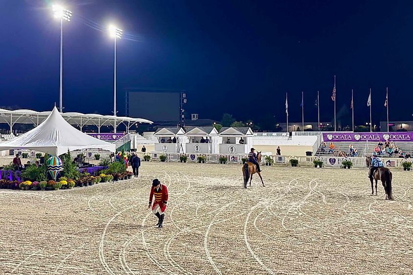 The Equestrian Hotel view of the arenas at the World Equestrian center Image credit Bryan Dearsley