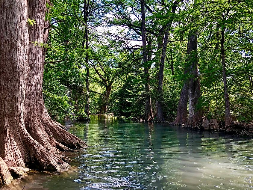 Blue Hole of Wimberly, Texas Hill Country, Texas.