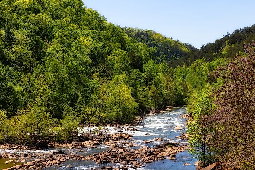 De Ocoee River, een topbestemming voor wildwaterraften, stroomt door Ocoee Gorge en was in 1996 het toneel van de wildwaterwedstrijden op de Olympische Spelen.