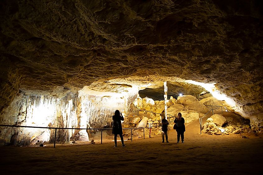 Alexandra Cave in Naracoorte - Australia.