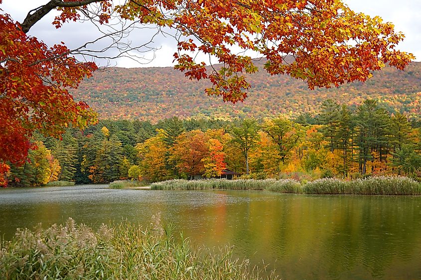 Lake surrounded by vibrant fall colors in Massachusetts.