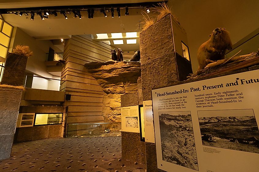 The inside of Head-Smashed-In Buffalo Jump museum.