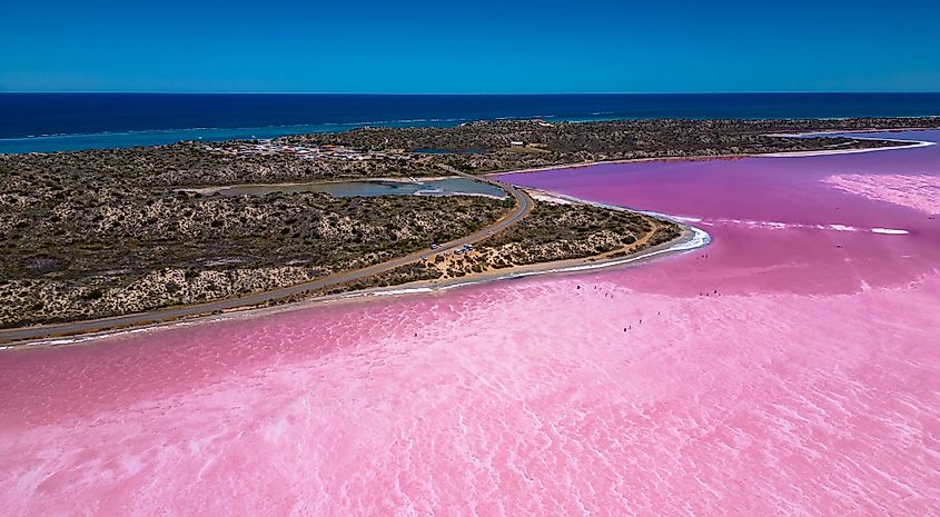 The strikingly beautiful Hutt Lagoon in Australia.