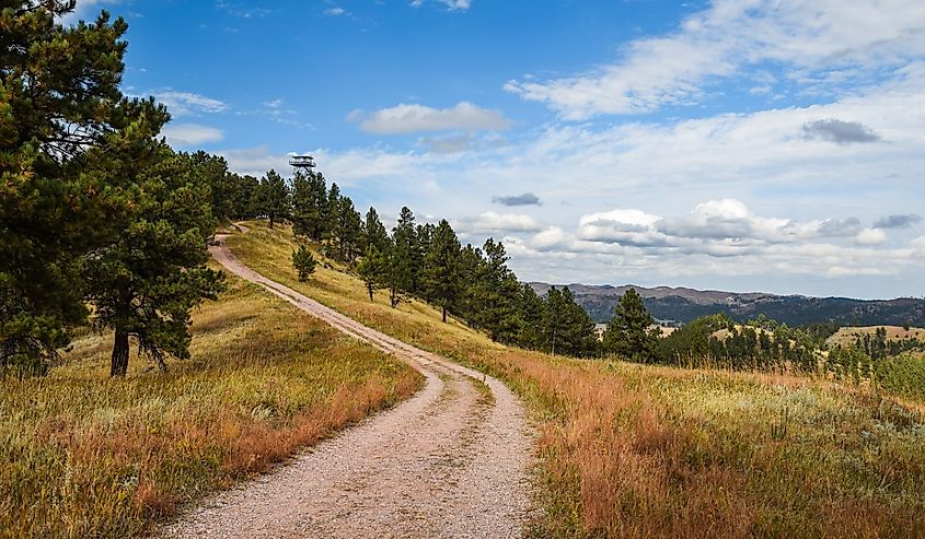 On the Rankin Ridge Trail, an old fire tower sits atop a hill overlooking Wind Cave National Park in South Dakota.