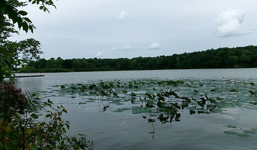 View of Sylvan Lake