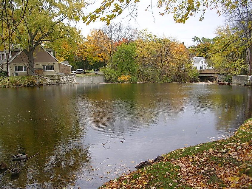 Creek In Cedarburg, Wisconsin