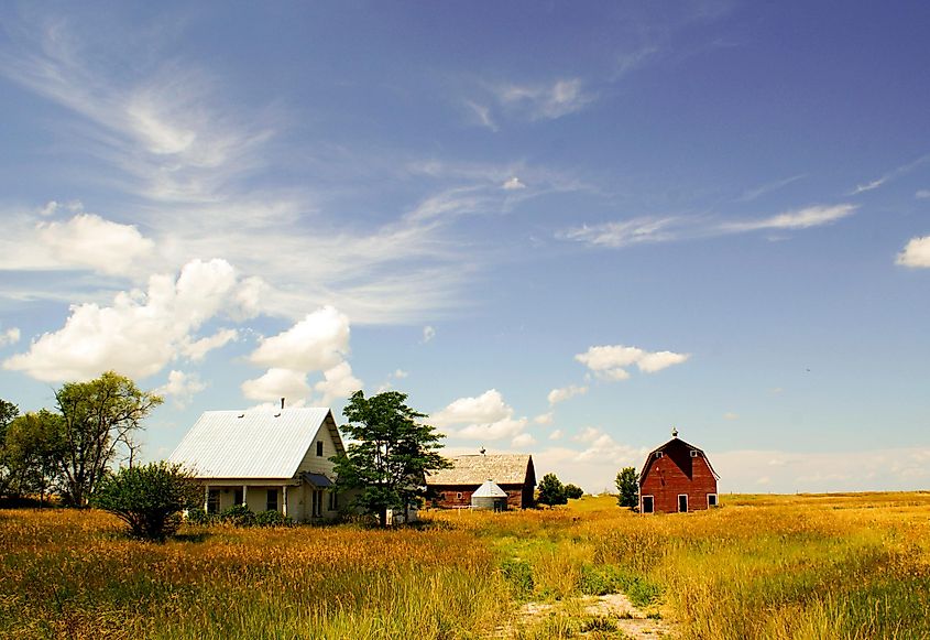 Abandoned Nebraska farm with weathered structures amid fallow fields.