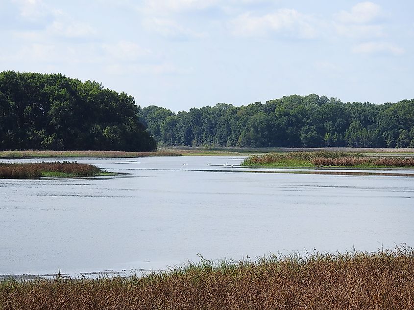 Bombay Hook National Wildlife Refuge in Smyrna, Delaware.