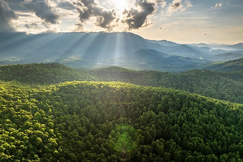 Mount Mitchell State Park