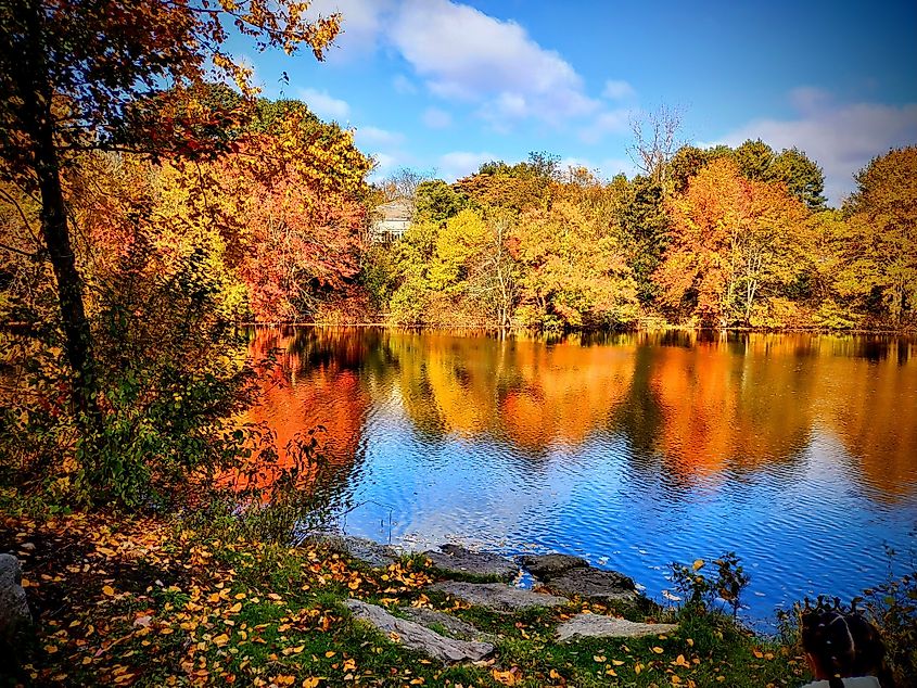 Scenic fall view of Redwing Pond at Ansonia Nature Center.