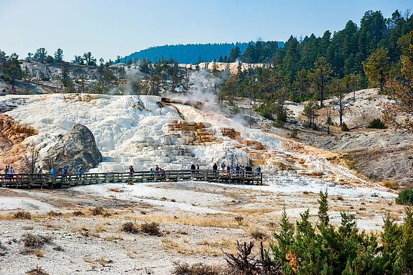 Mammoth Hot Springs Terraces in Yellowstone National Park, Wyoming