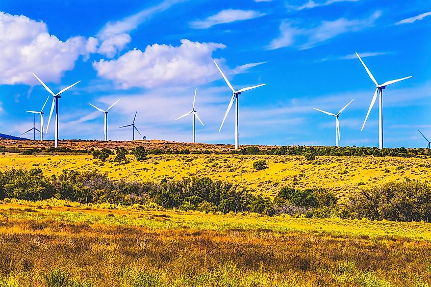 Windmills in Monticello, Illinois.