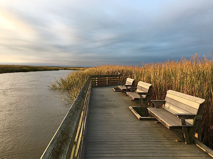 Bombay Hook National Wildlife Refuge, located in Delaware