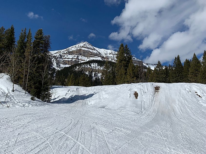 Snow trails in Pinedale, Wyoming.