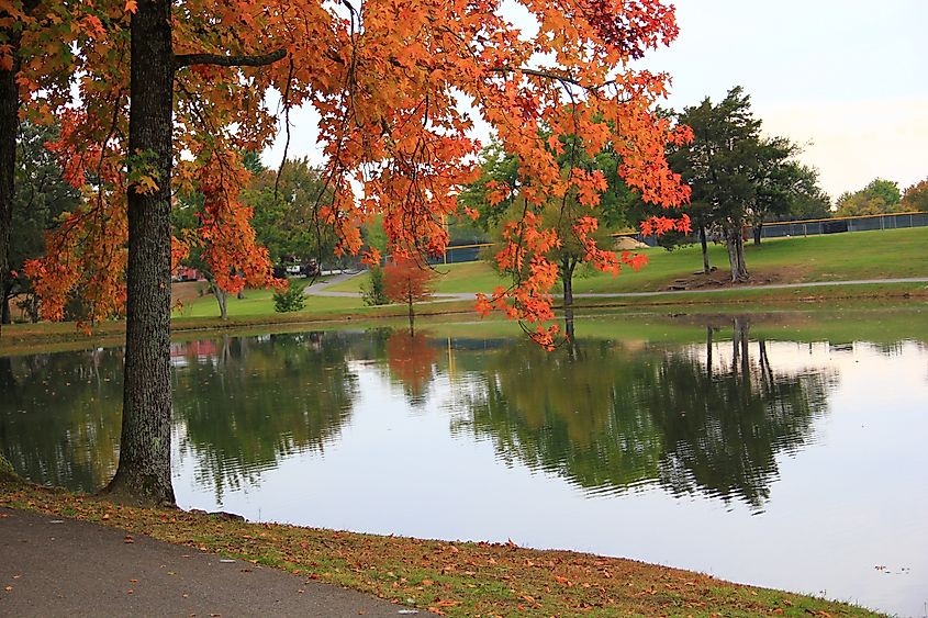 Fall foliage in the town of Batesville, Arkansas.