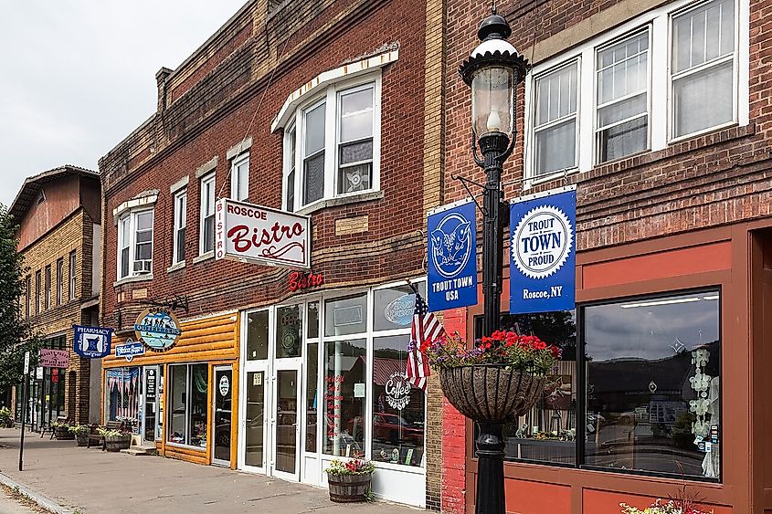 Looking down Stewart Avenue, the main street of Roscoe, New York.