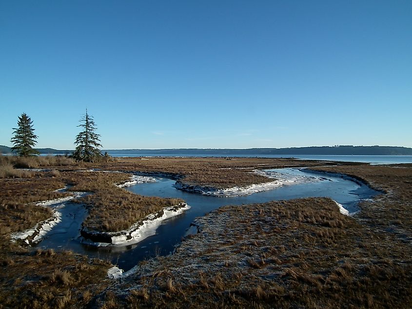 Tidal shoreline near the estuary of the Dosewallips River, Dosewallips State Park, Hood Canal, Washington