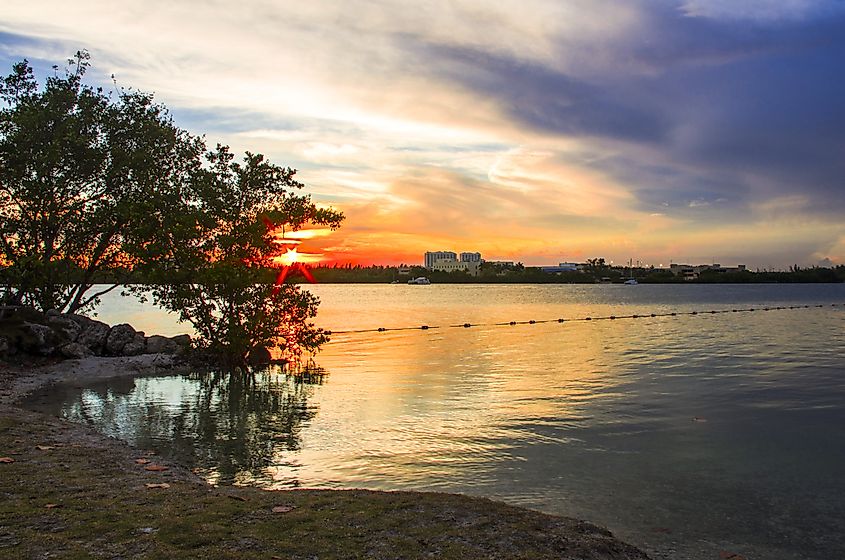 Oleta River Park.