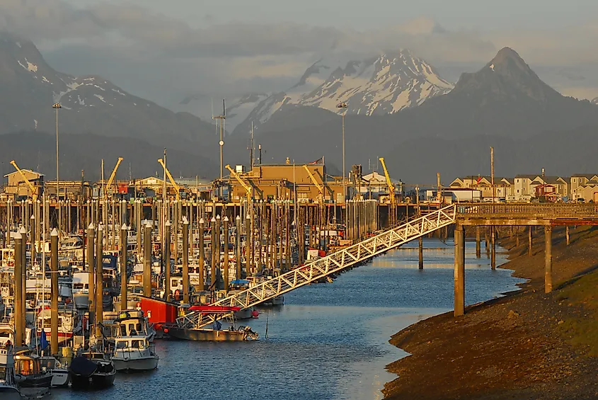 Harbor in Homer, Alaska.