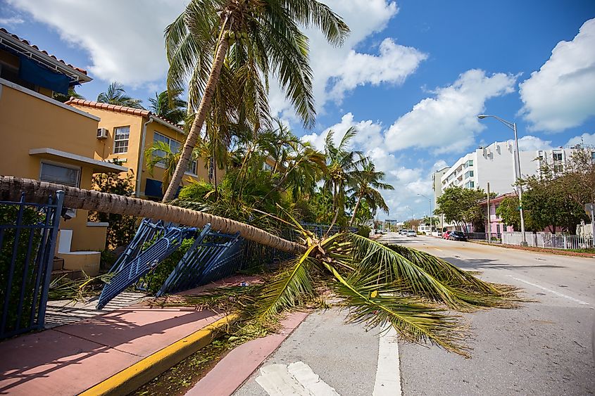  Miami Beach after Hurricane Irma. Editorial credit: Mia2you / Shutterstock.com