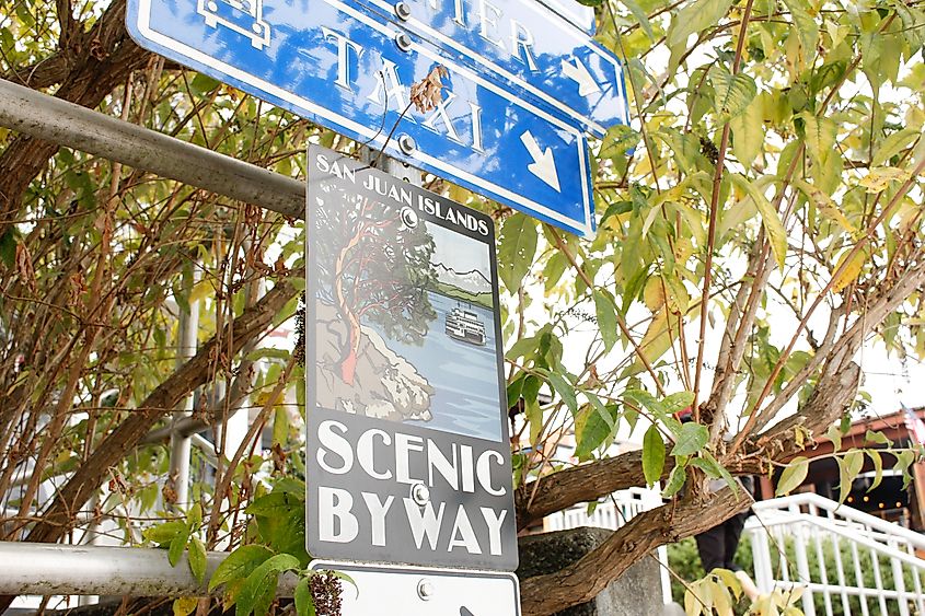  view of a road sign that lets drivers know they are directed towards the San Juan Islands Scenic Byway.