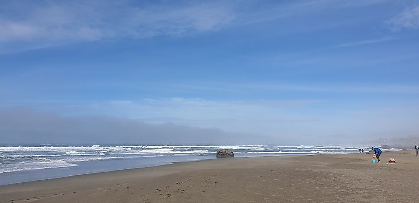 North Salmon Creek Beach San Francisco, CA, USA.