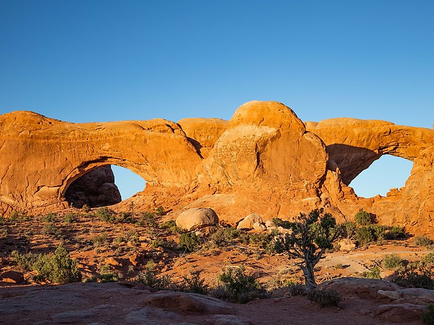 The Window Arches in Canyonlands.