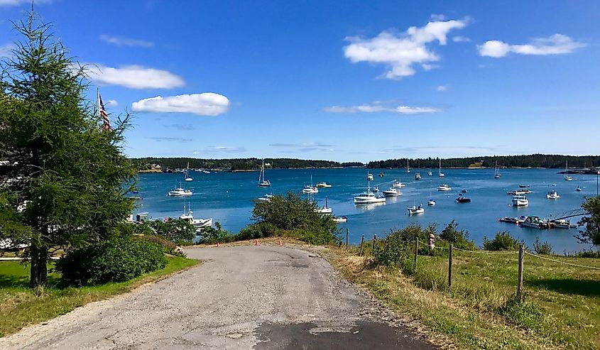 Looking out over Swan's Island, Maine.