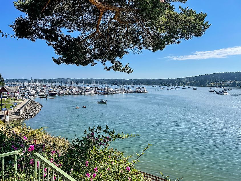 The marina at Poulsbo, Washington.