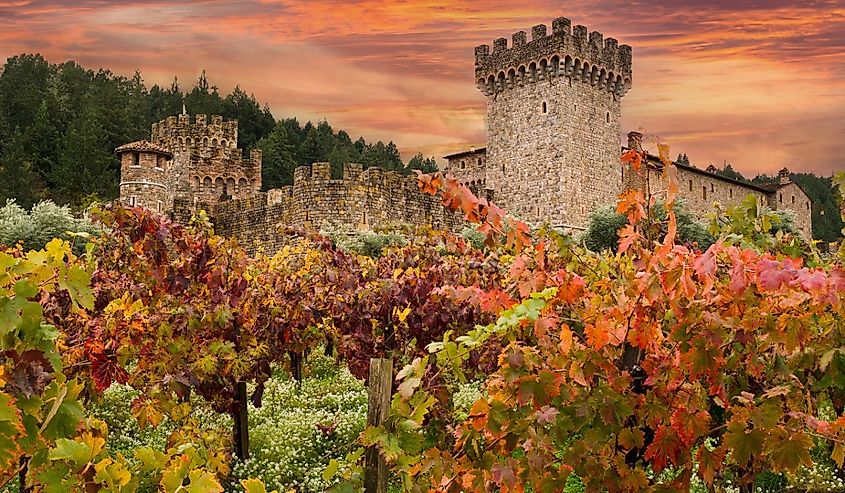 Napa Valley castle winery with vineyard grape vines in beautiful autumn colors and a colorful sunset sky.