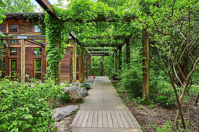 Nature trail with green vines on pergola in Shepherdsville, Kentucky.