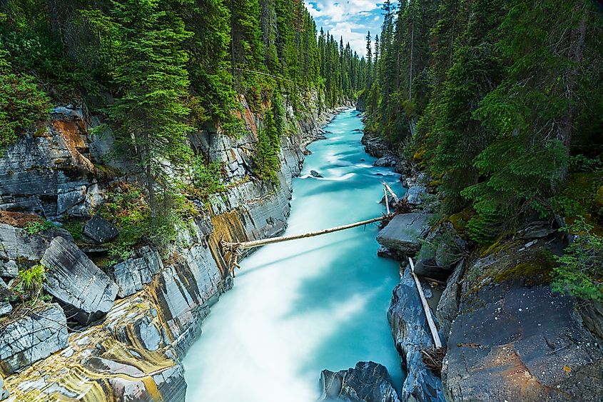 Numa Falls in Kootenay National Park, Canada, featuring the rushing waters of the falls surrounded by lush greenery and the rugged beauty of the Canadian Rockies.