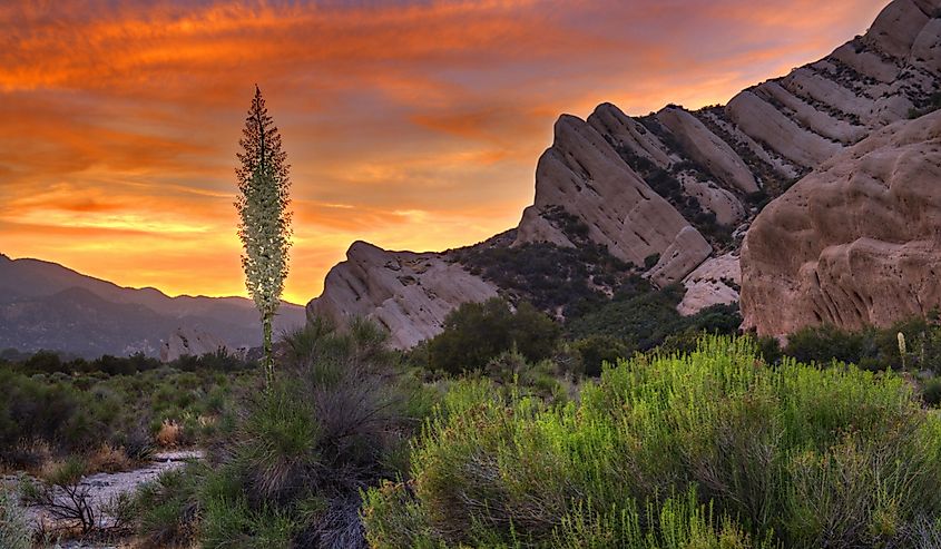 The Mormon Rocks, also called Rock Candy Mountains; part of the San Gabriel Mountains near Wrightwood, California