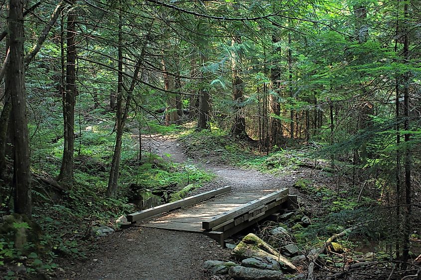 Pulaski Tunnel Trail