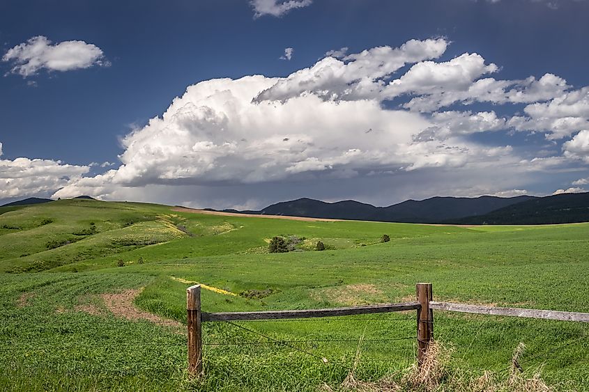 Near Lewistown, Montana