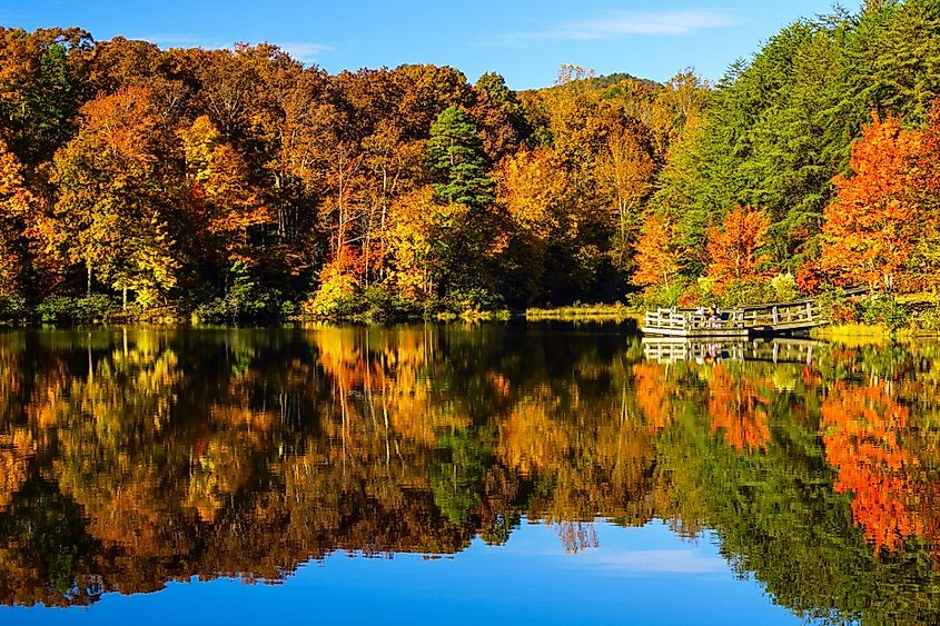 Photo from Crowders Mountain State Park in the fall.