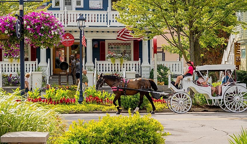 A horse drawn carriage transports tourists in downtown in Frankenmuth, Michigan.