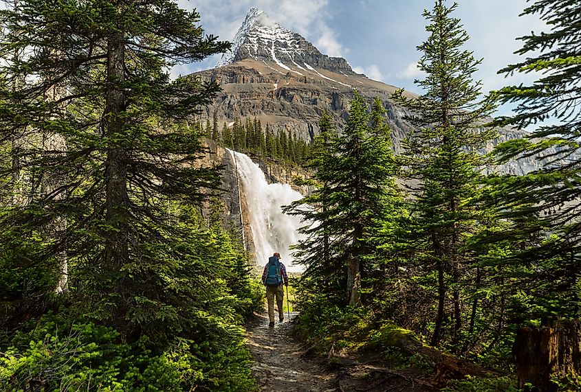 Beautiful Mount Robson in summer