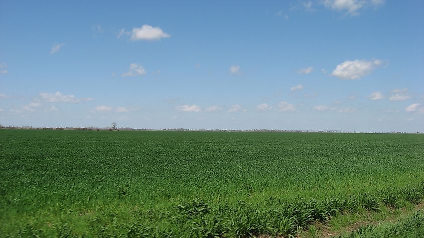 View of the Mississippi Floodplain the the Missouri Bootheel.