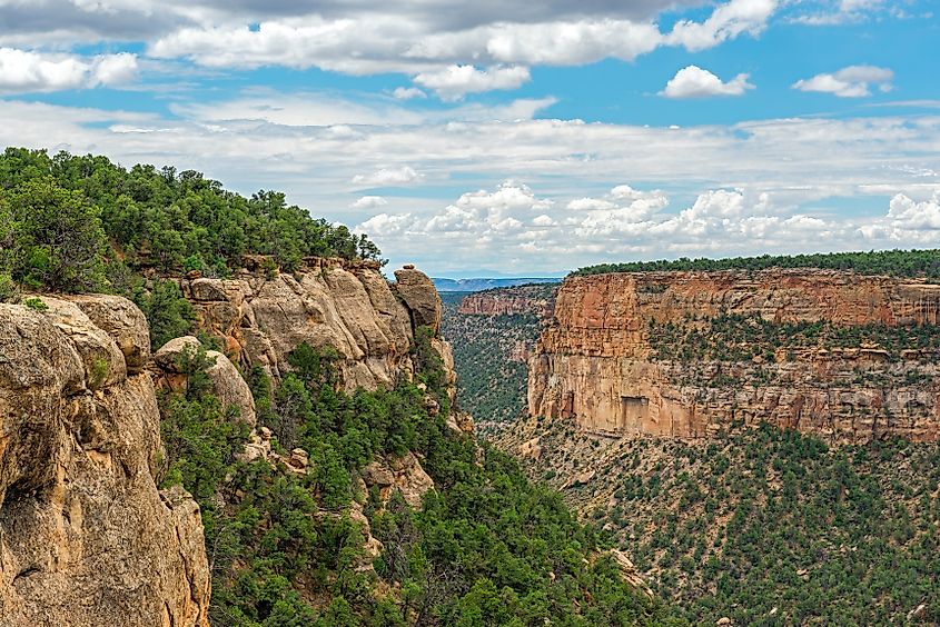 Mesa Verde National Park is one of the attractions near Mancos, Colorado