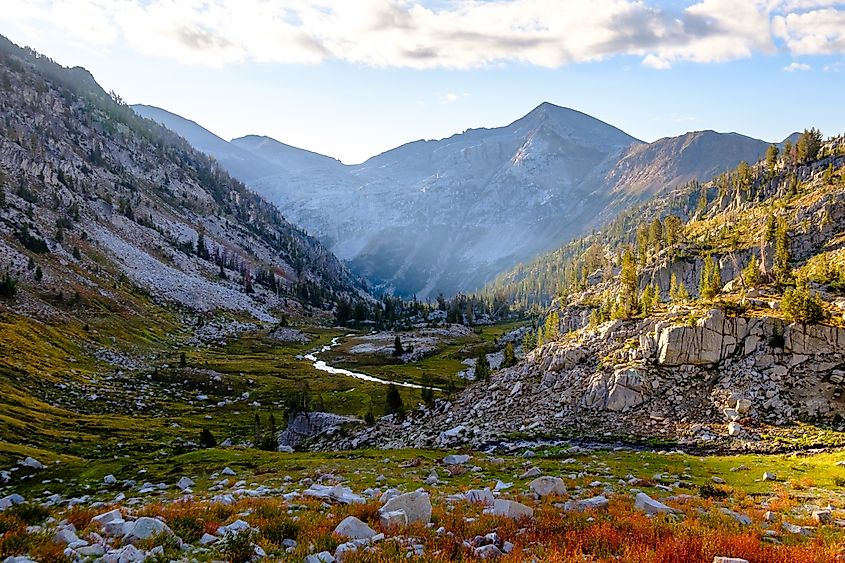 Sunrise illuminates the vibrant fall colors along the West Fork Wallowa River Trail near Glacier Lake, in the Wallowa Mountains, close to the town of Joseph, Oregon.