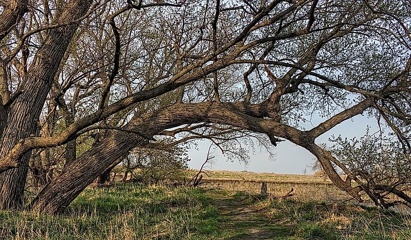 Good Earth State Park is an Urban State Park on the Edge of the Sioux Falls,