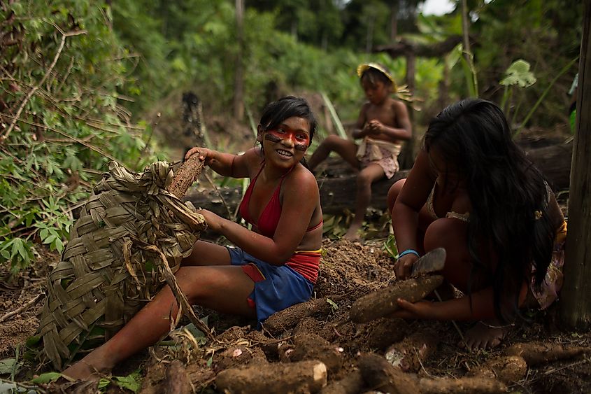 Activists Who Sacrificed Their Lives To Save The Amazon Rainforest Worldatlas