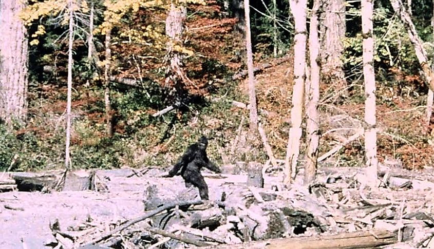 Frame 352 from the Patterson Gimlin Bigfoot Film.