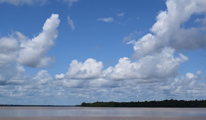 Courantyne River border of Guyana and Suriname