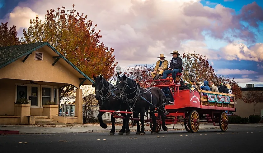 Carriage ride in Oakdale, California.